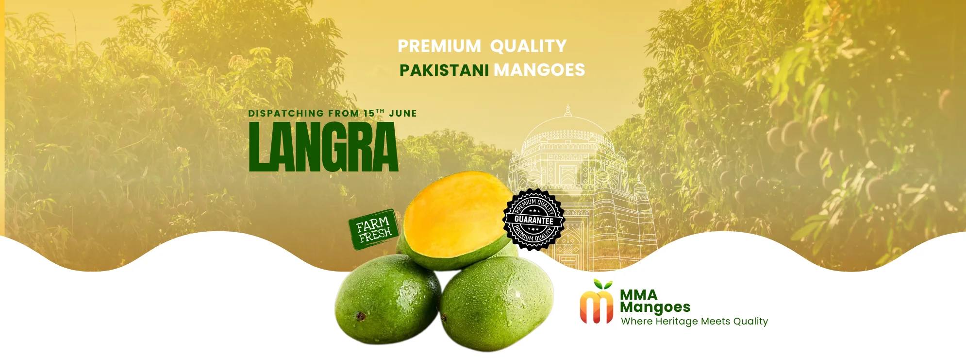 Langra mango banner — premium Langra from MMA Farms Multan