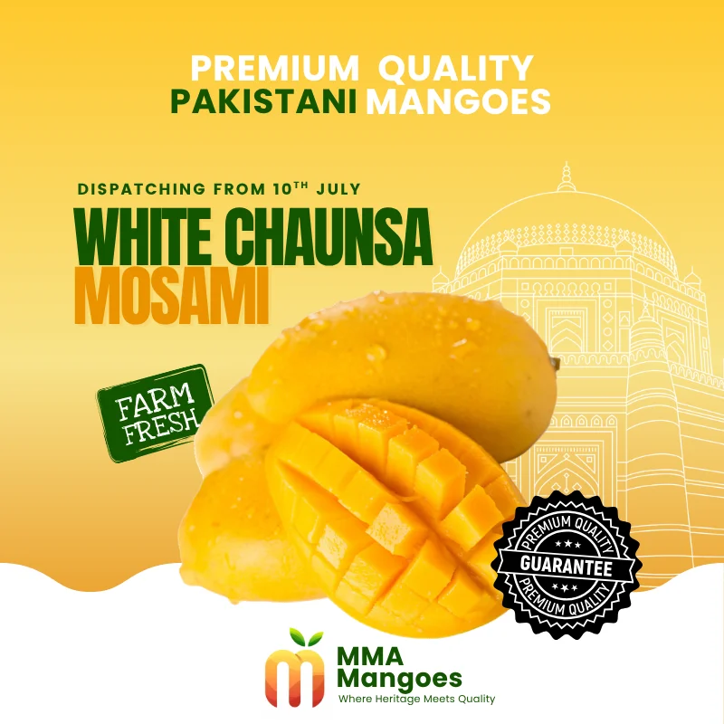 White Chaunsa Mosami (سفید چونسا موسمی) — Premium Pakistani Mango