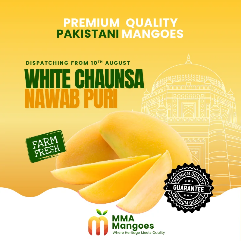 White Chaunsa Nawab Puri (سفید چونسا نواب پوری) — Premium Pakistani Mango